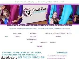 aerialfun.com