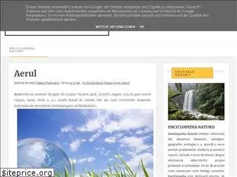 aerul.enciclopedia.biz