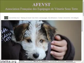 afevst.org