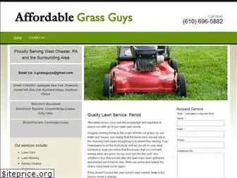 affordablegrassguys.com