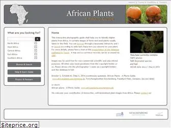 africanplants.senckenberg.de