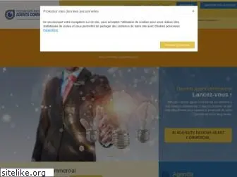 agentcommercial.fr