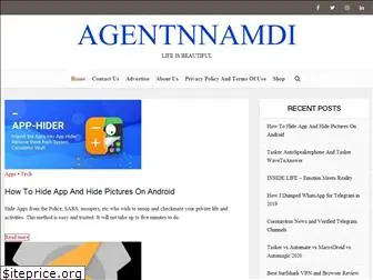 agentnnamdi.com