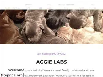 aggielabs.com