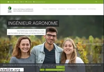 agro-bordeaux.fr