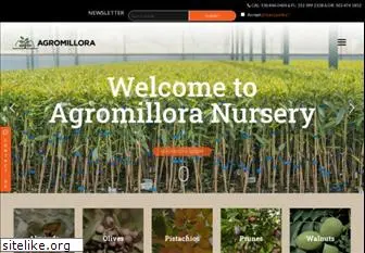 agromillora.com