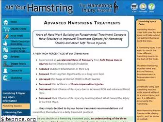 aidyourhamstring.com