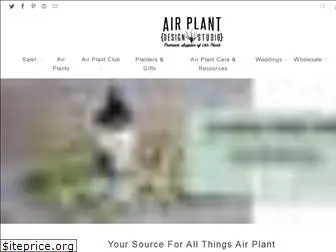 air-plants.com