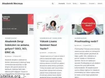akademikmecmua.com