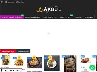 akgul.com.tr