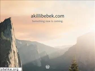 akillibebek.com