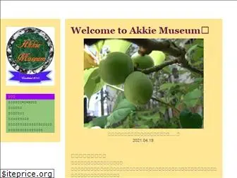 akkie-museum.com