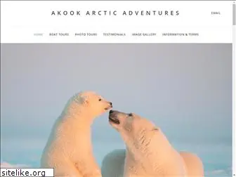 akookarcticadventures.com