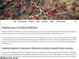 aktivnidiabetik.cz