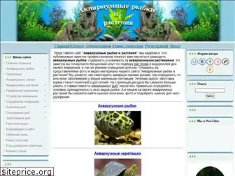 akvarym.com