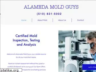 alamedamoldguys.com