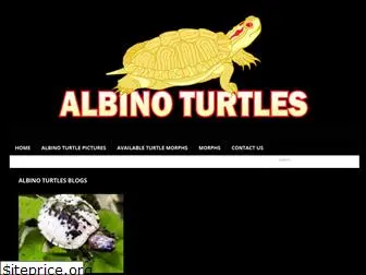 albinoturtles.com