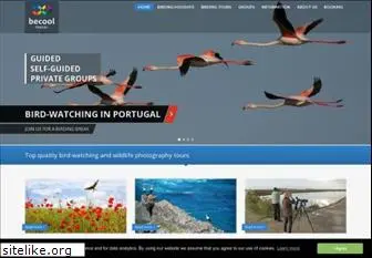 algarve-birdwatching.com