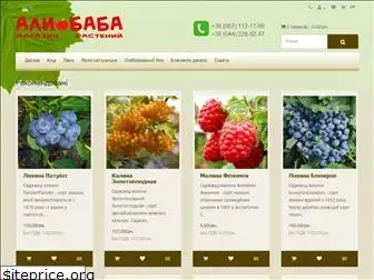 alibaba.kiev.ua