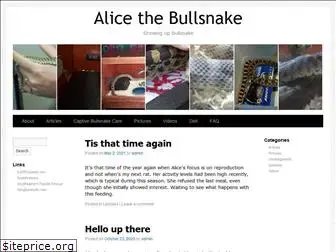 alicethebullsnake.com