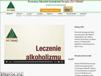 alkoholizm.org.pl