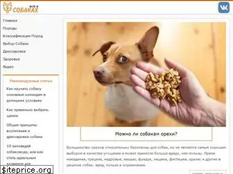 allaboutdogs.ru