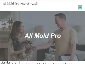 allmoldpro.com