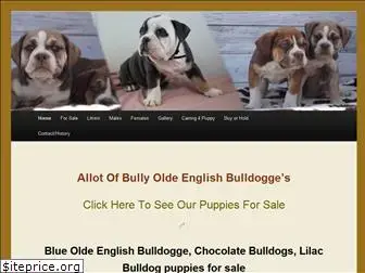 allotofbully.com