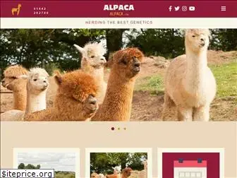 alpacaalpaca.com