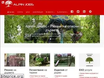 alpinjobs.com