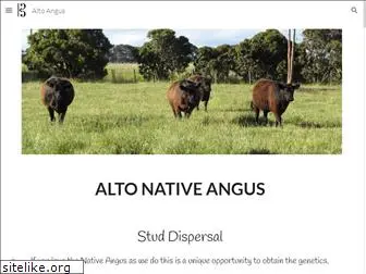 altoangus.com.au