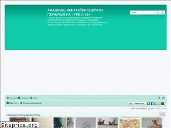 amadina24.ru
