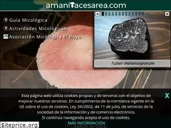 amanitacesarea.com