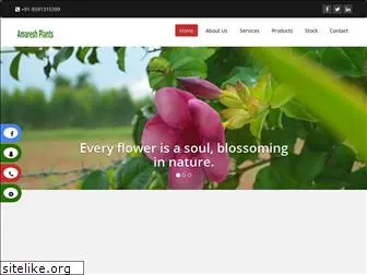 amareshplants.com