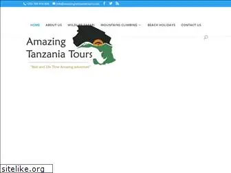 amazingtanzaniatours.com