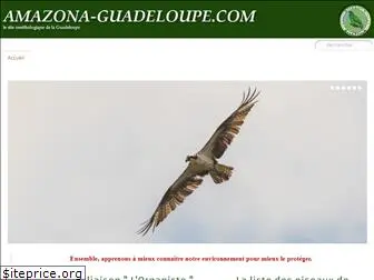 amazona-guadeloupe.com