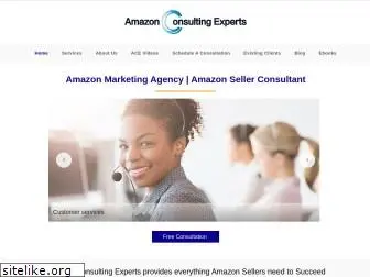 amazonconsultingexperts.com