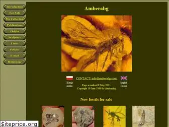 amberabg.com