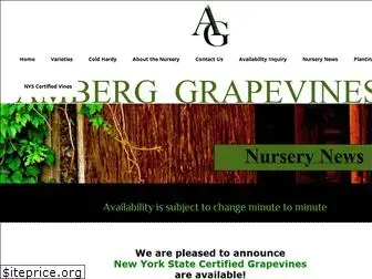 amberggrapevines.com