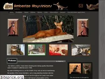 amberizeabyssinians.com