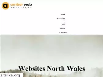 amberwebsolutions.com