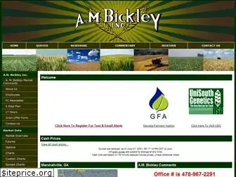 ambickley.com