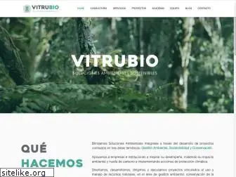 ambientevitrubio.com