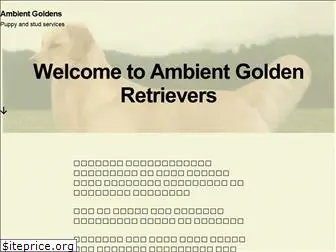 ambientgoldens.com