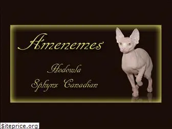 amenemes.com.pl