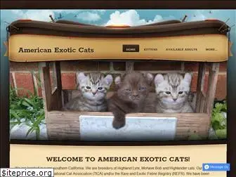 americanexoticcats.com