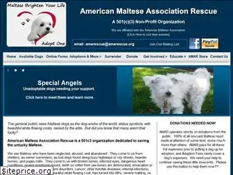 americanmalteserescue.org