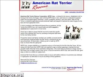 americanratterrier.com