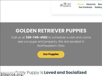 amgoldenretrievers.com