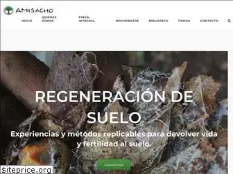 amisacho.com